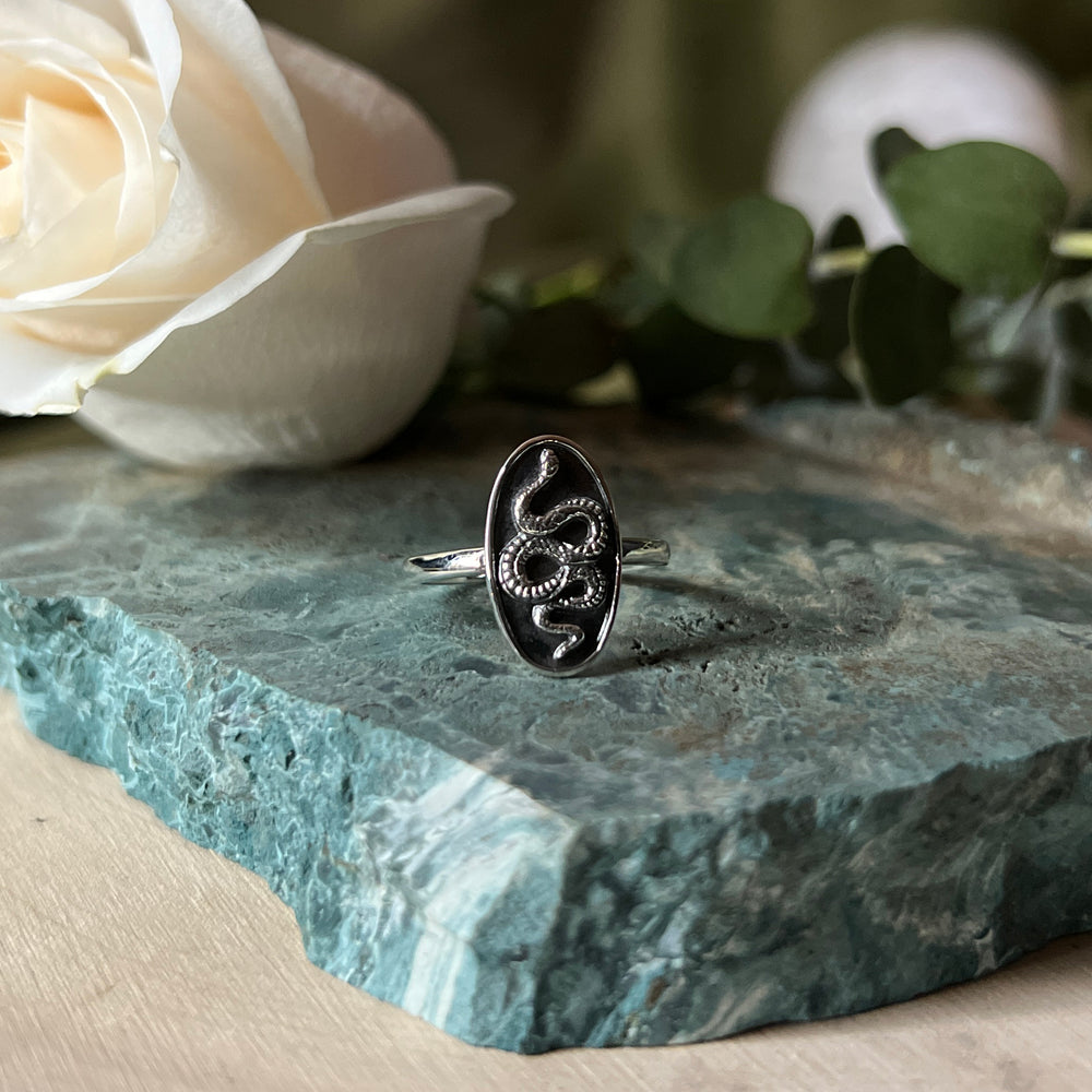 Oval ring with a full snake inside and a dainty band.