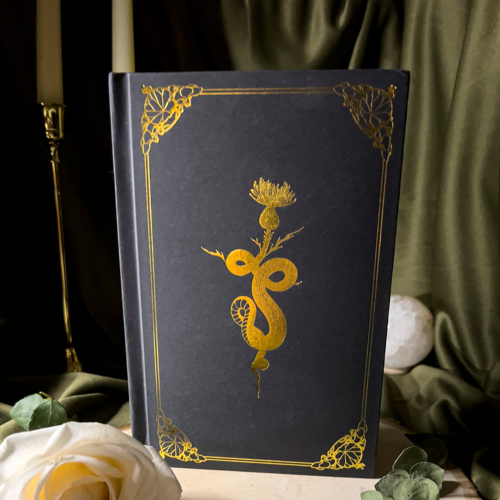 A black journal with a glided snake on the cover.