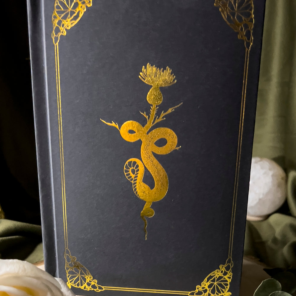 A black journal with a glided snake on the cover.