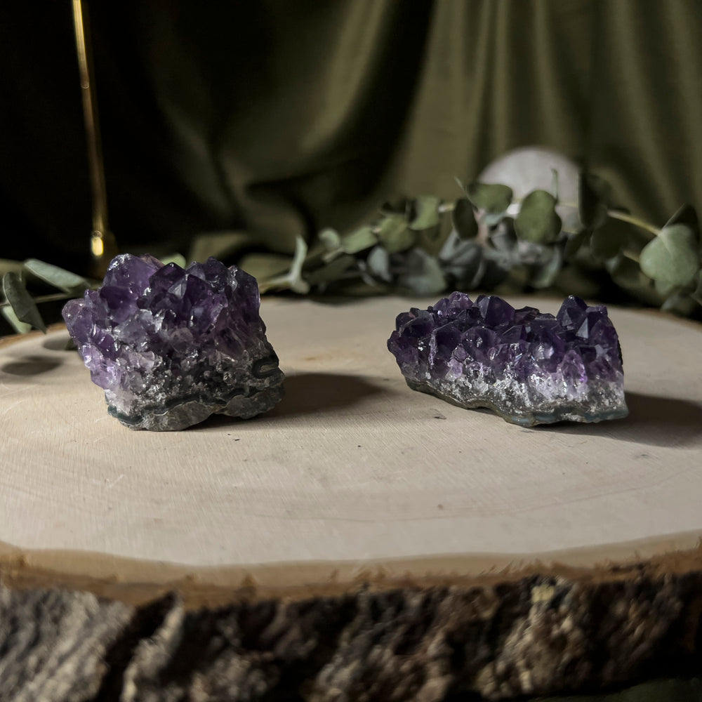 Amethyst clusters of different sizes.
