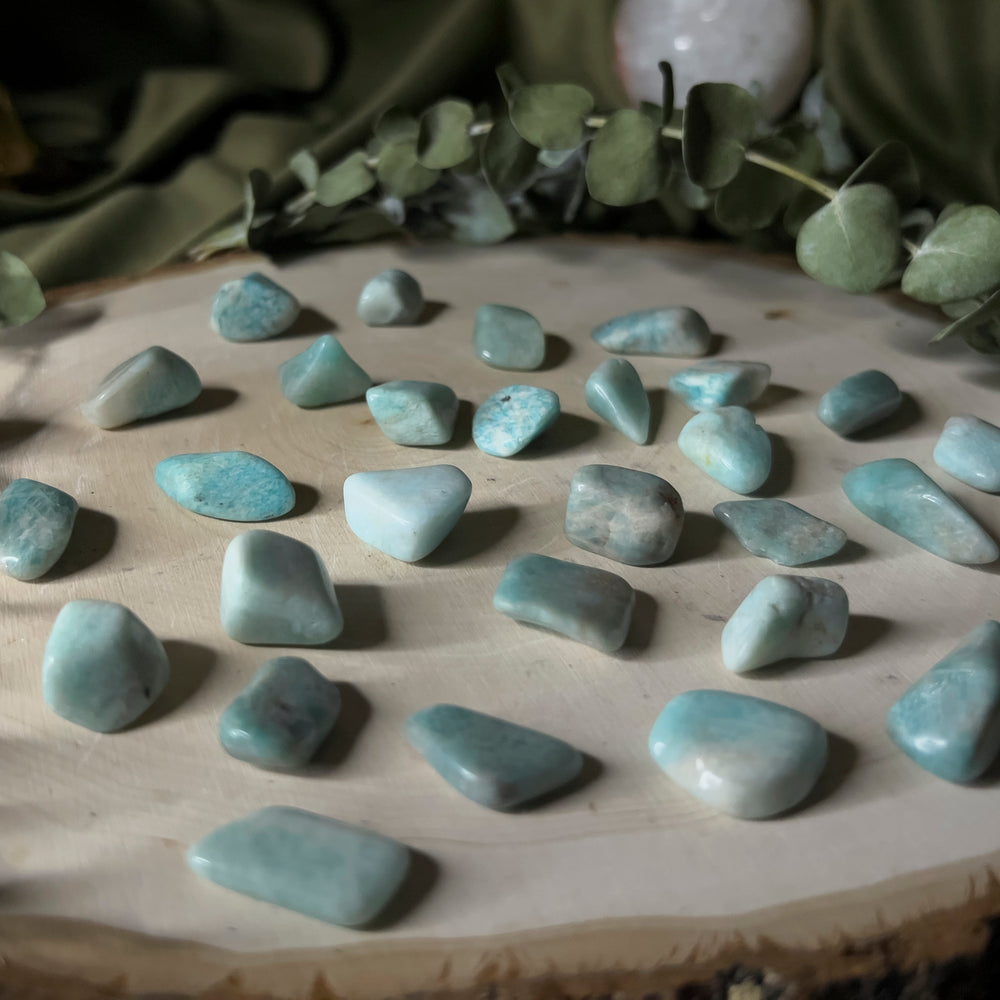 Teal Amazonite tumbles displayed on a wood slice, closeup. 